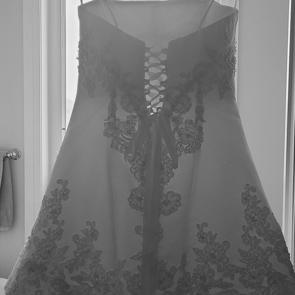 Wedding Dress - Picture 5 of 10